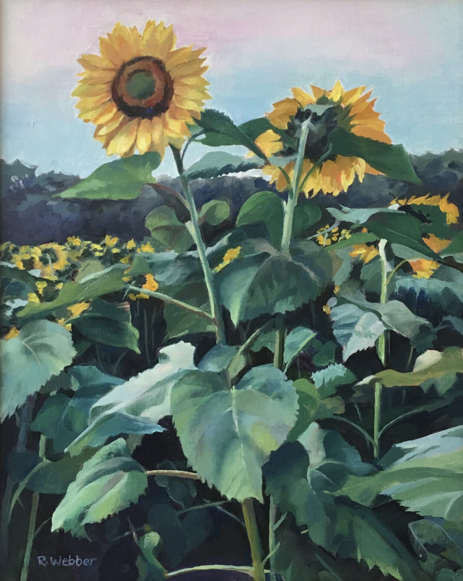 ©R. Webber, Good Morning Sunshine