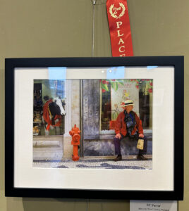 Framed photograph of man sitting by fire hydrant
