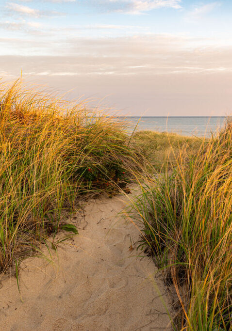 ©Cindy Wilson.Path To The Sea